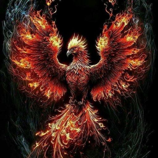 Phoenix Conception