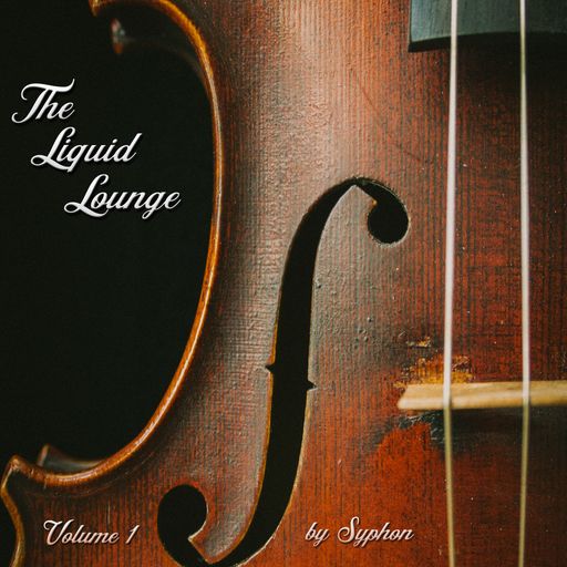 The Liquid Lounge : Volume 1