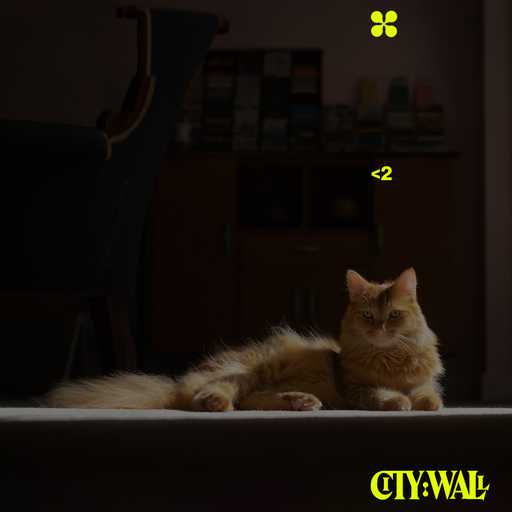 <2 Vol. 7 w/ Jamie Cameron - August 2023