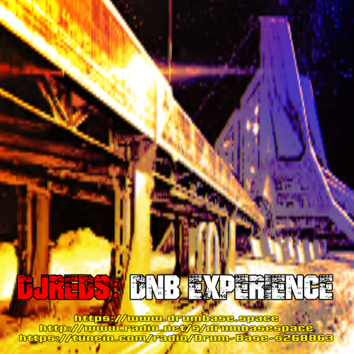 the dnb experience 27-07-2019