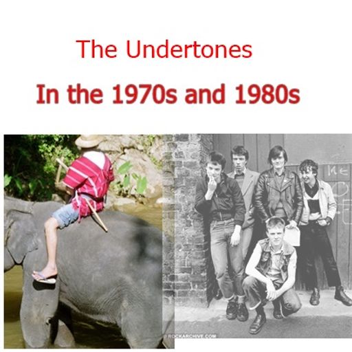 liz kershaw with the undertones