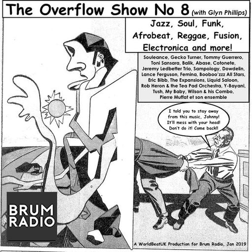 The Overflow Show No 8 with Glyn Phillips (Jan 2019)