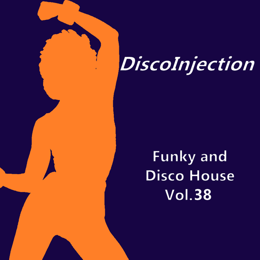 Funky House Mix Vol. 38 / 2022 DiscoinJection