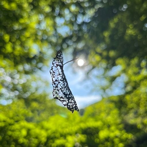 Kreggo // 30-10-2025