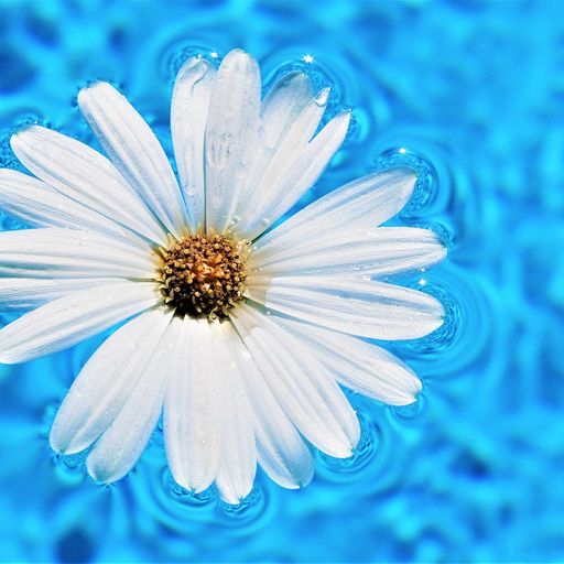 Latin and Afro House Session at Pooltime by DiscoinJection Dec. 2020 www.fuzedclubradio.com