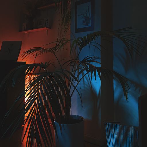 Activity Chain - 24/10/22