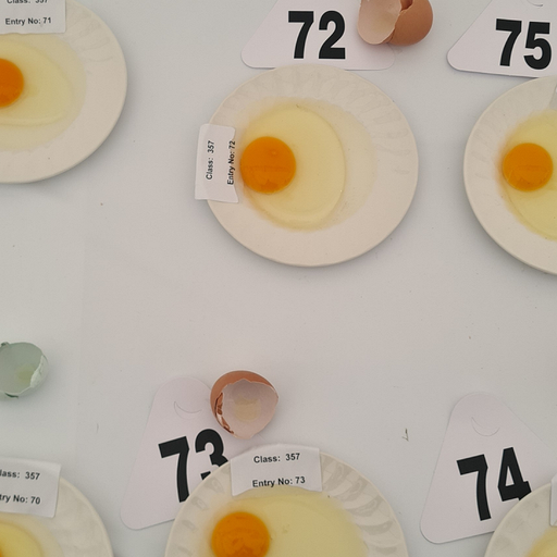 Fractal Meat On A Spongy Bone - 25th November 2025