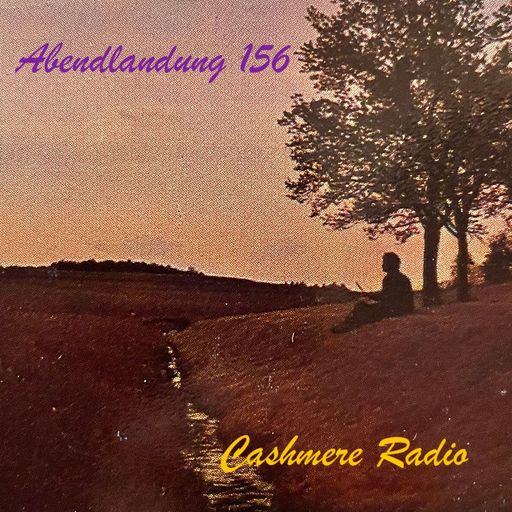 Abendlandung # 156 - Bunte Mischung 05.02.2024