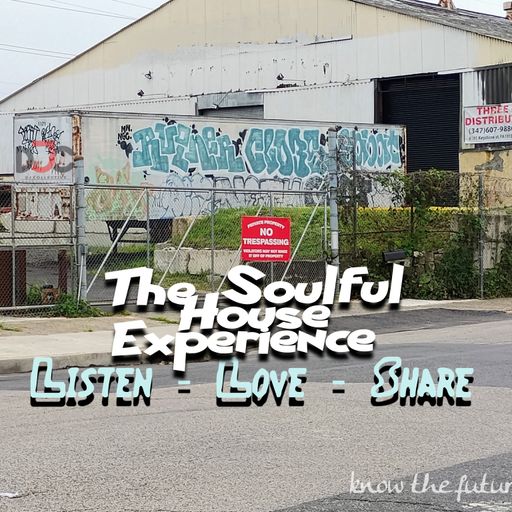 The Soulful House Experience - Episode 252