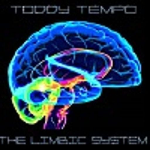 Toddy Tempo - The Limbic System - 2020.