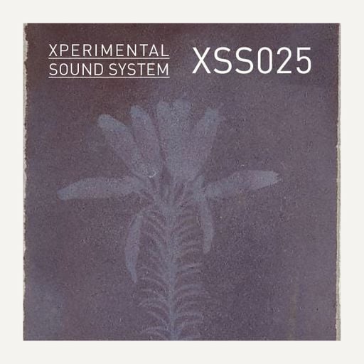 Xperimental Sound System: XSS025 / Cubo