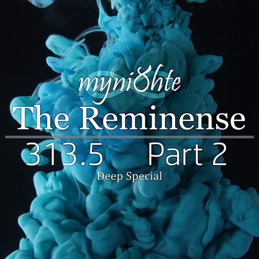 The Reminense 313.5 - Part 2