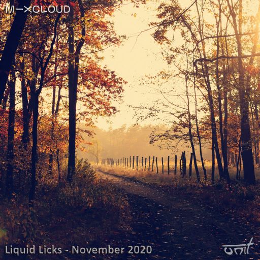 Liquid Licks - November 2020