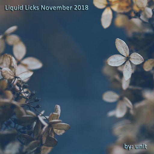 Liquid Licks November 2018