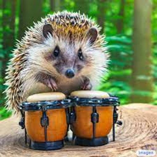 DJ Hedgehog - Drum and Bass Sandwich - Only Drum and Bass - Wednesday 25th October 2023