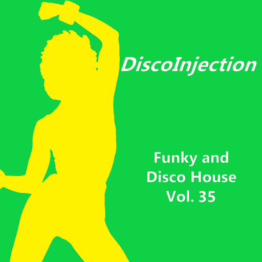 Funky House Mix Vol. 35 / 2022 DiscoinJection
