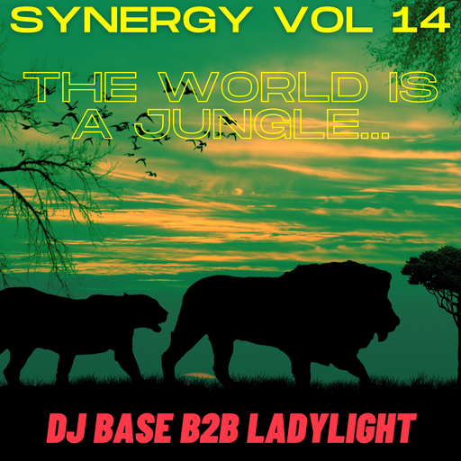 Synergy Vol 14 - DJ BASE b2b LadyLight - The World Is A Jungle