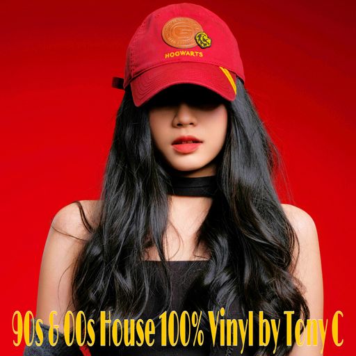 90s & 00s House 100% Vinyl Vol.36  2/3/25
