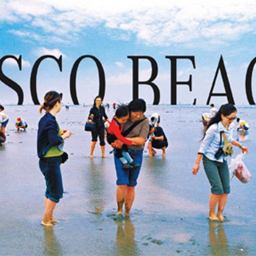 The Disco Beach Is Back By V.A.