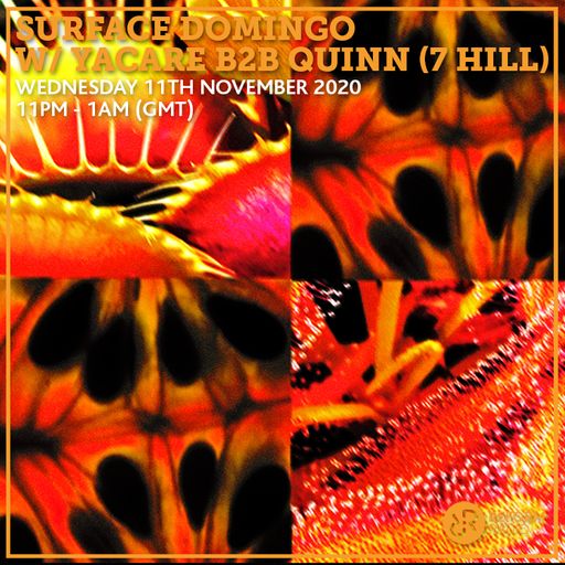 Surface Domingo w/ Yacare B2B Quinn (7 Hill) 11th November 2020