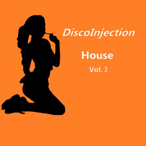 House Mix Vol. 3 / 2022 by DiscoInjection