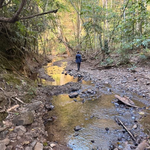 Dipping My Toes in Again Vol.5...