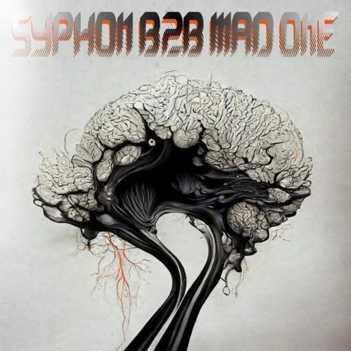 SYPHON B2B MΛD ӨNΞ