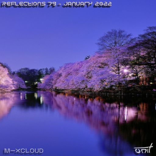 Reflections 79 - January 2022