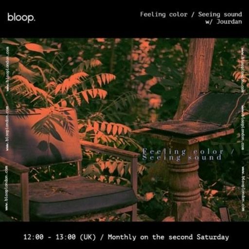 Feeling color / Seeing sound w/ Jourdan - 12.08.23