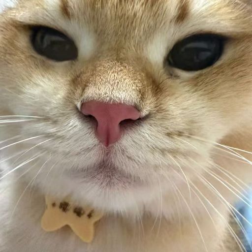 DJ'YE【Cs Private Mix'26】《抖音熱曲 - Y Que Fue X BIGBANG - Blue X 劉力揚 - 禮物》Mixtape 2x26