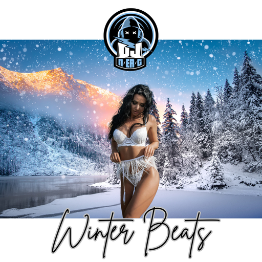Winter Beats 2025 // EDM Mix