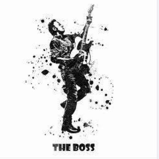 A Tribute To Bruce Springsteen,Ladies Sing The Boss by Various Artists