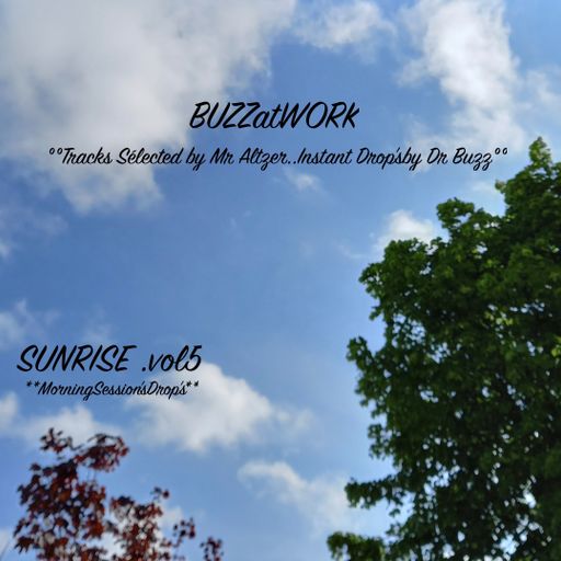 BUZZatWORK Sunrise vol5