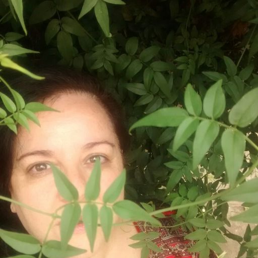 jungle sirena