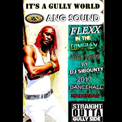 DJ Sibounty - Flexx, It's A Gully World (Dancehall Mixtape 2017)