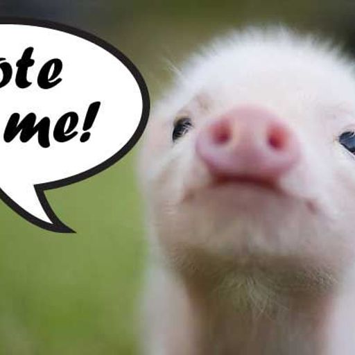 Music to Vote By- Elections 2019