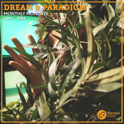 Dream and Paradigm 29th July 2019