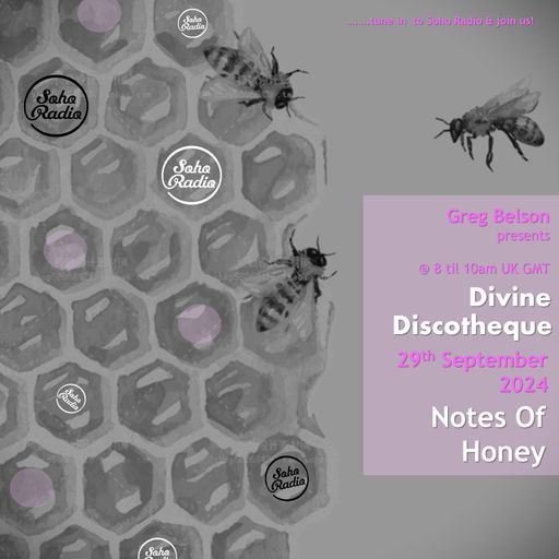 Greg Belson's Divine Discotheque - Notes of Honey (29/09/2024)