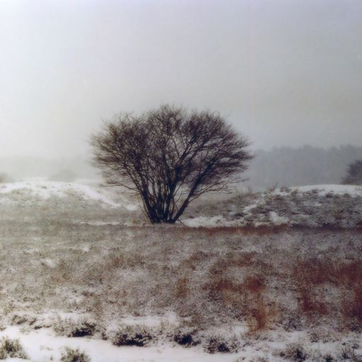 Cloudscape #58: Winter Solstice 2015
