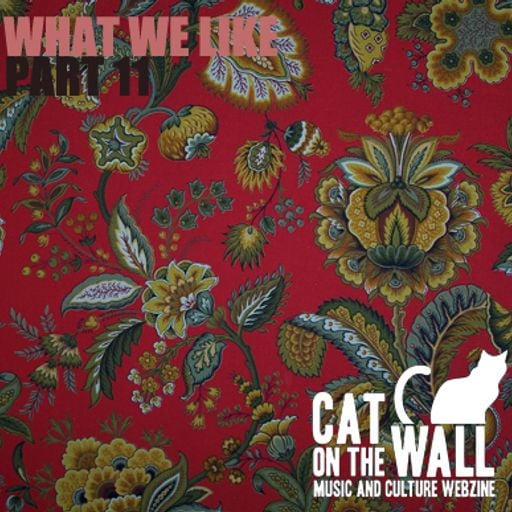 What We Like Part 11