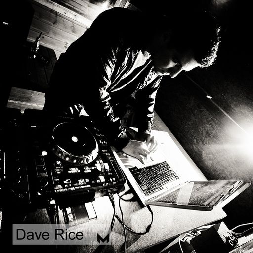 Dave Rice - Promo Mix July 2011 - themonkeybusiness.webs.com