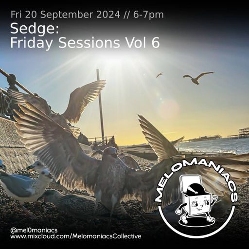 Sedge // Friday Sessions EP6 / 20.09.24 // Melomaniacs Live //