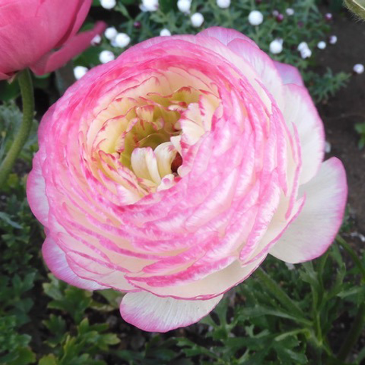 VOLATILE STATES Vol_2 03/16/2025