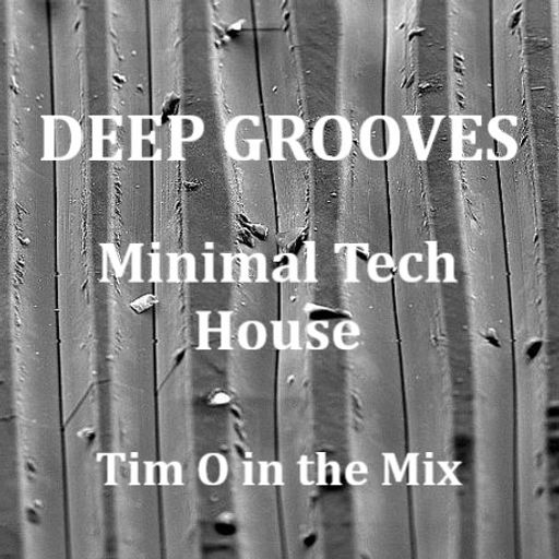 Deep Grooves #1 - Minimal Tech House
