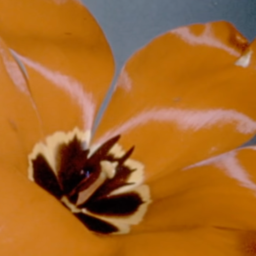 Willie Rixon - 19.03.24 - Voices Radio