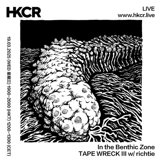 In the Benthic Zone TAPE WRECK III w/ richtie - 19/03/25