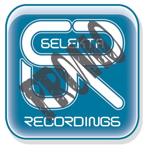 100 Percent Selekta vol 2