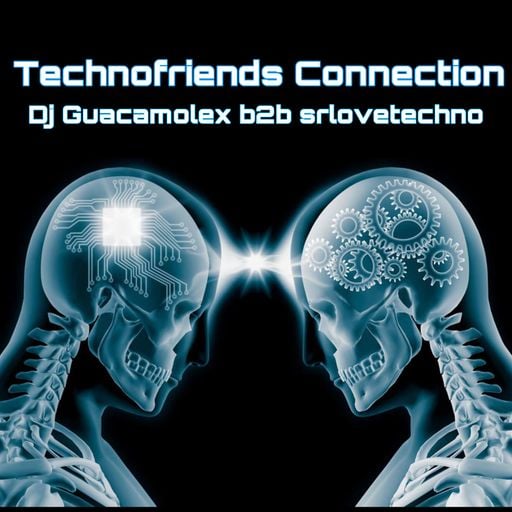 Technofriends Connection b2b
