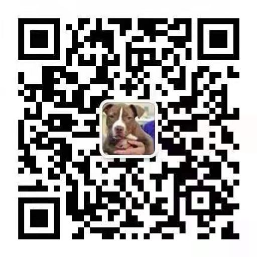 DJ'YE《胡鴻鈞 - 凡人不懂愛 X 安小朵 - 簡單的幸福 X 茄子蛋 - 浪子回頭 X Dawn - 難生恨》Rmx 2x21 Private Mixtape Just For 日蓮娛樂城