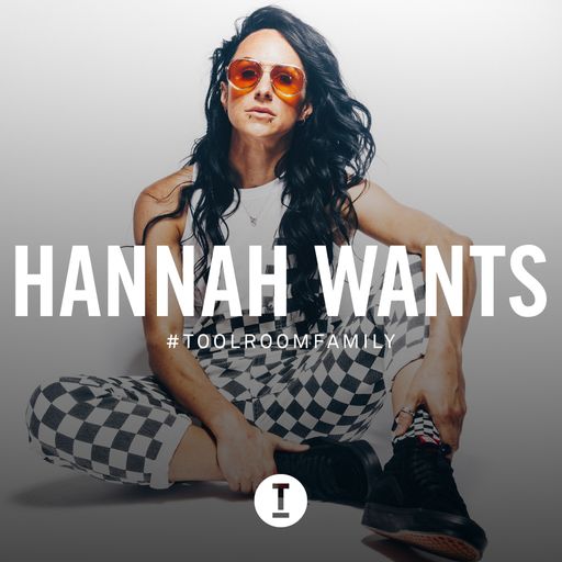 Toolroom Family - Hannah Wants (DJ Mix)